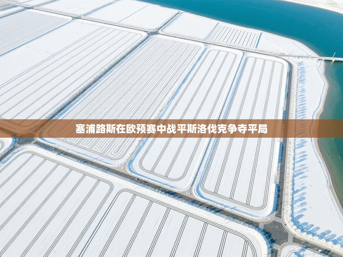 塞浦路斯在欧预赛中战平斯洛伐克争夺平局  第1张