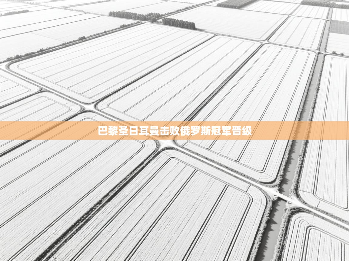 巴黎圣日耳曼击败俄罗斯冠军晋级 第2张