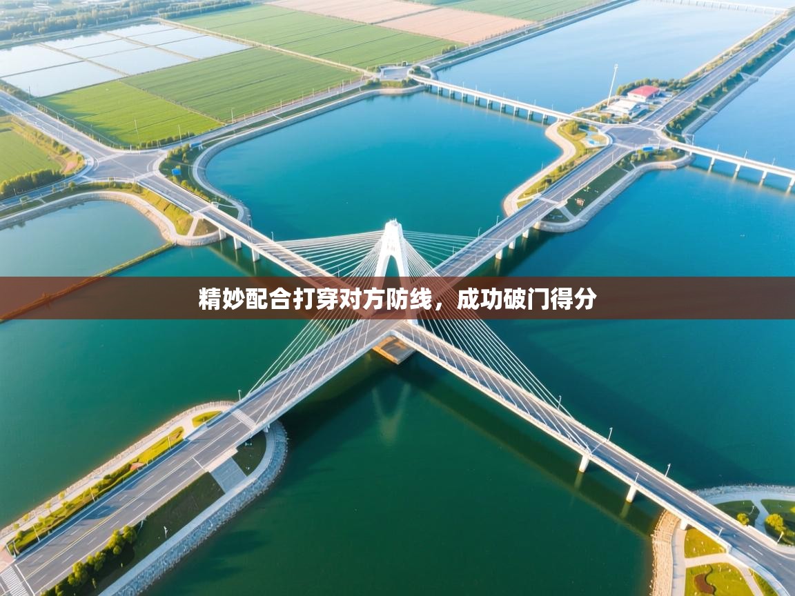 精妙配合打穿对方防线,成功破门得分 第2张