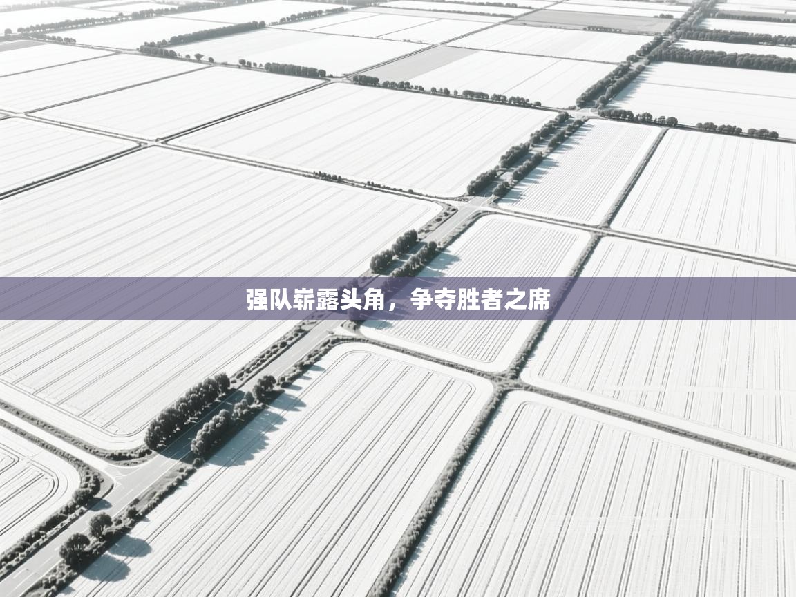 强队崭露头角,争夺胜者之席 第1张