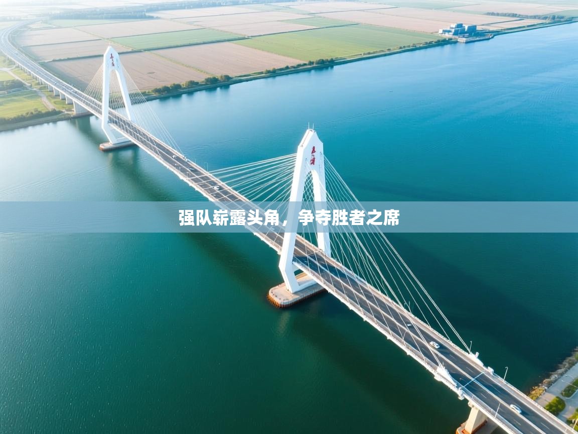 强队崭露头角,争夺胜者之席 第2张